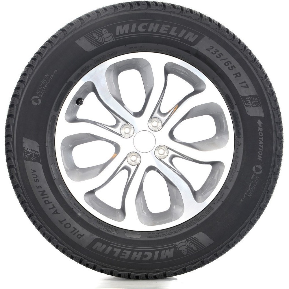 Michelin Pilot Alpin 5