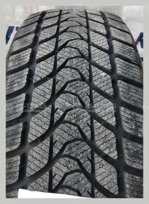 Delinte Winter WD1 195/65 R15 91H