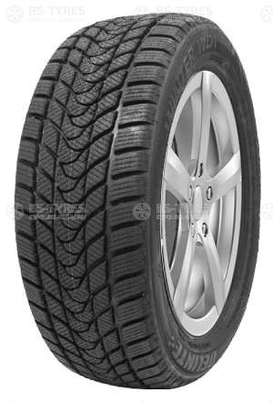 Delinte Winter WD1 195/65 R15 91H