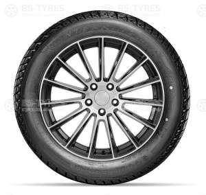 Doublestar DW01 195/55 R16 87T