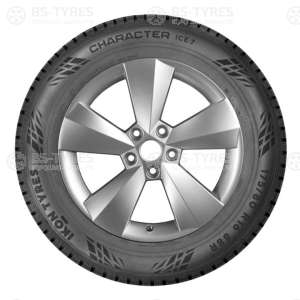 Ikon (Nokian Tyres) Character Ice 7 (Nordman 7) SUV 225/60 R18 104T