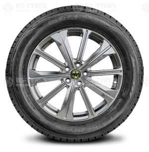 Roadx Frost WH12 225/50 R17 98H