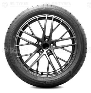 Windforce Catchfors UHP 295/40 R21 111Y