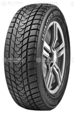 Delinte Winter WD1 195/65 R15 91H