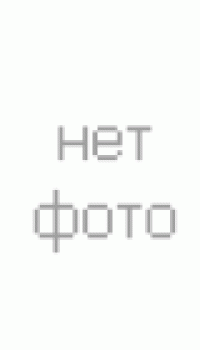 Ikon (Nokian) Character Eco