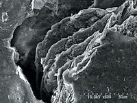 ig30 полости от кристаллов углерода